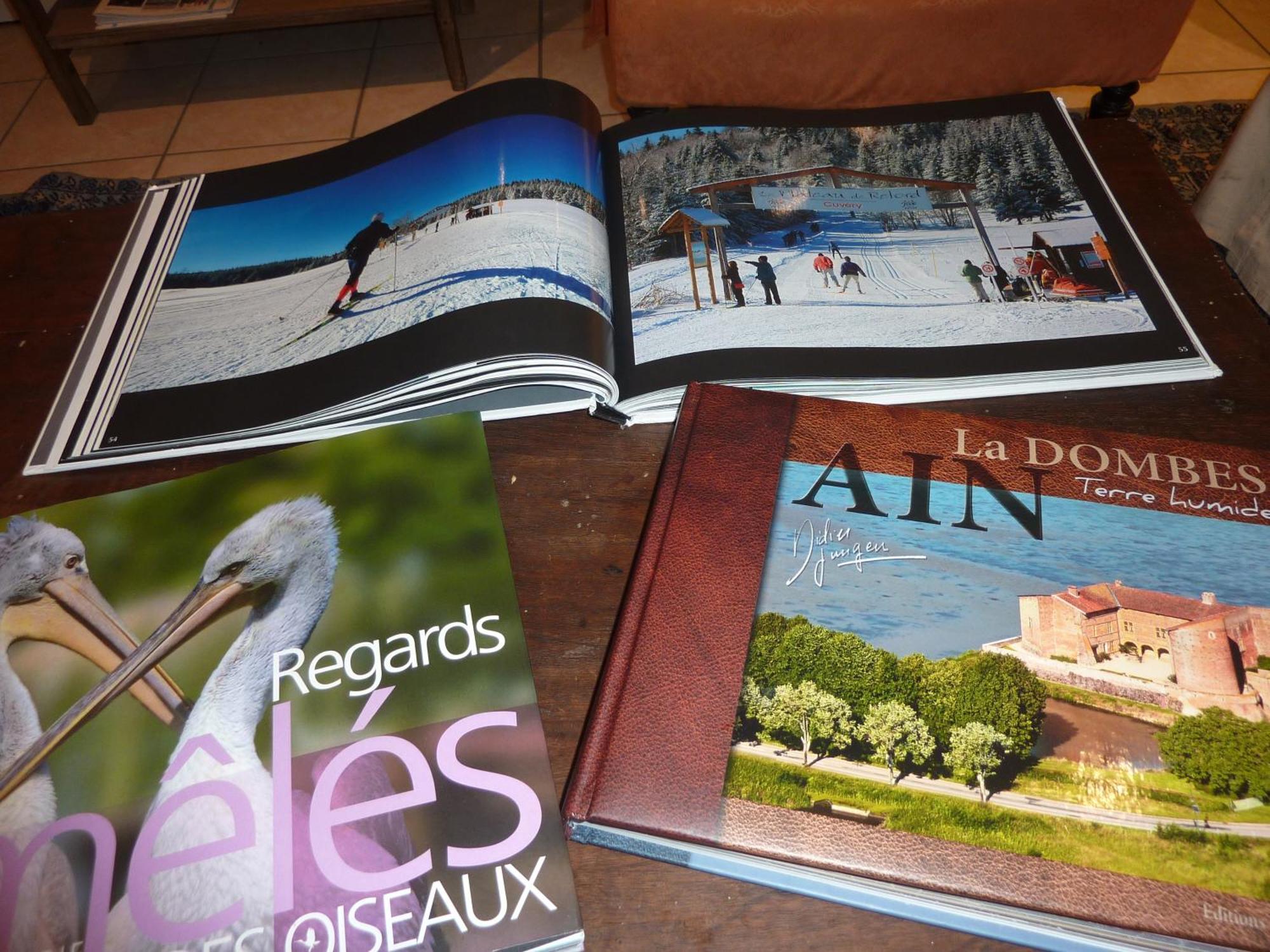 Lac'Hotel France Montréal La Cluse 외부 사진